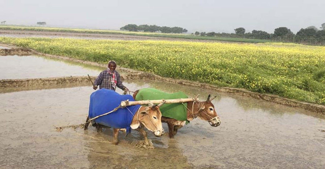 'ওদেরওতো শীত লাগে, কষ্ট হয়'