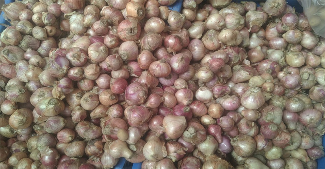 এখনো চড়া দামে বিক্রি হচ্ছে পেঁয়াজ