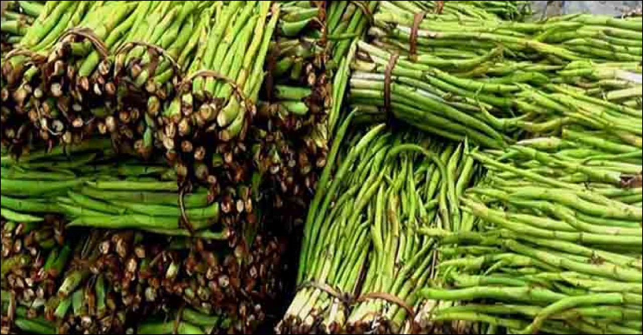 কচুর লতি চাষে ভাগ্য বদল চাষিদের