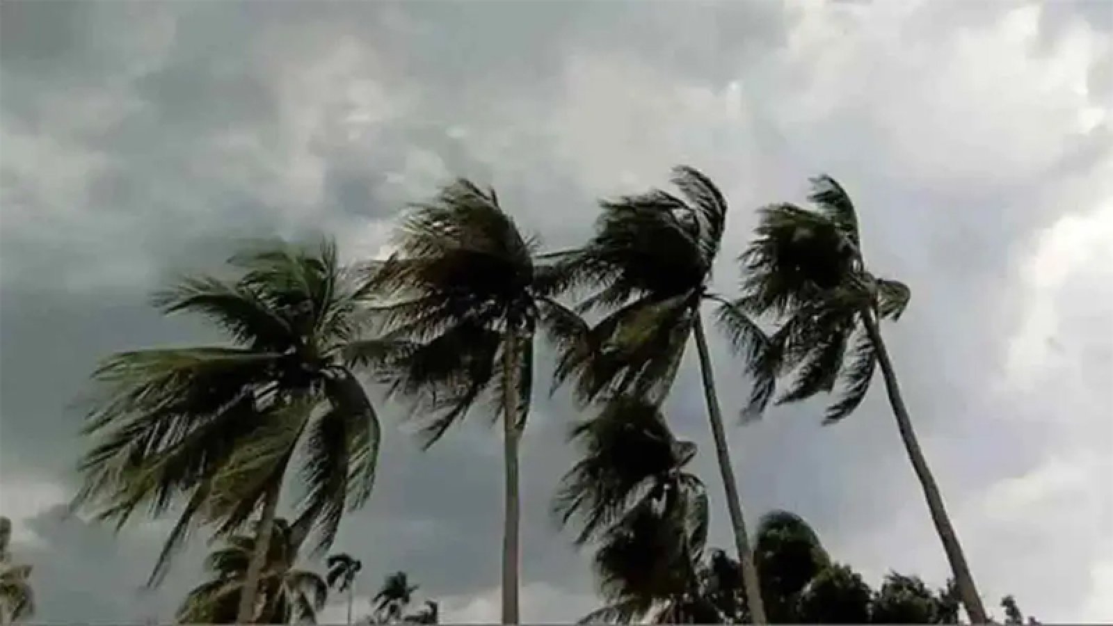 ঢাকাসহ আট অঞ্চলে বজ্রবৃষ্টিসহ ঝড়ের আভাস