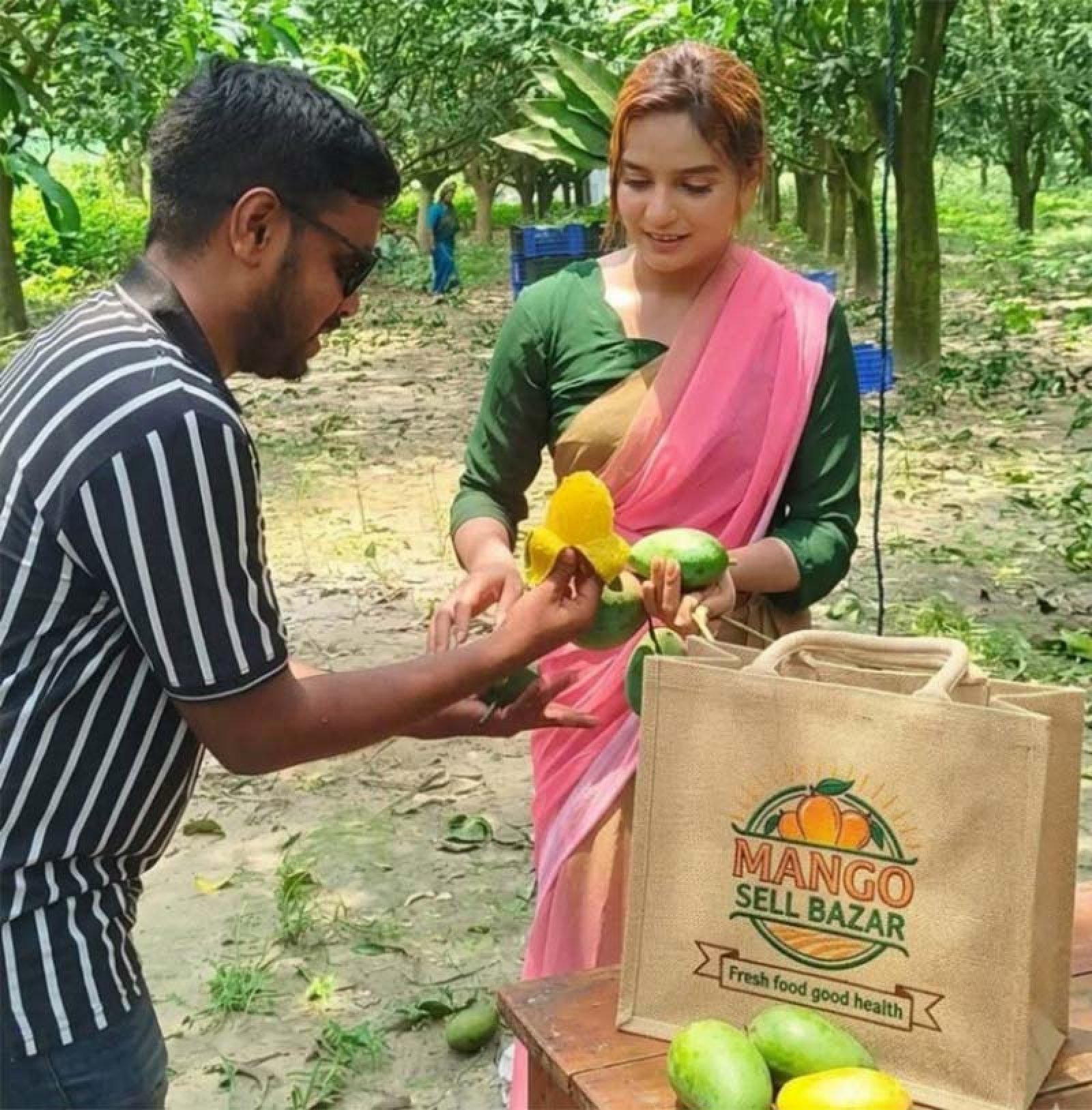 গাছে আম, হাতে মোবাইল—অনলাইনে আম বিক্রি করে সফল বদলগাছীর মোস্তাকিম