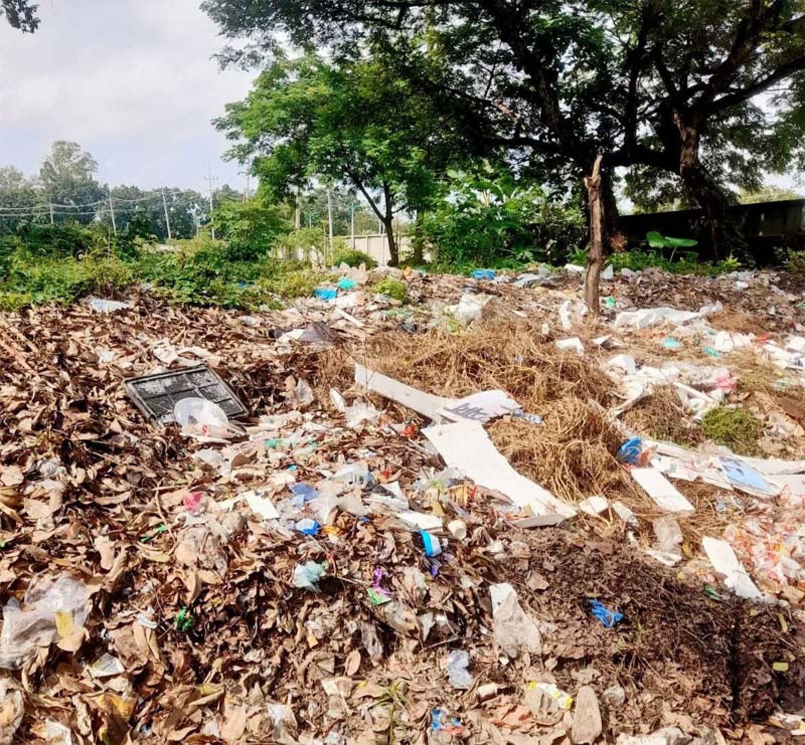 রাবি ক্যাম্পাস থেকে ৪০০ টন বর্জ্য অপসারণ করলো রাসিক