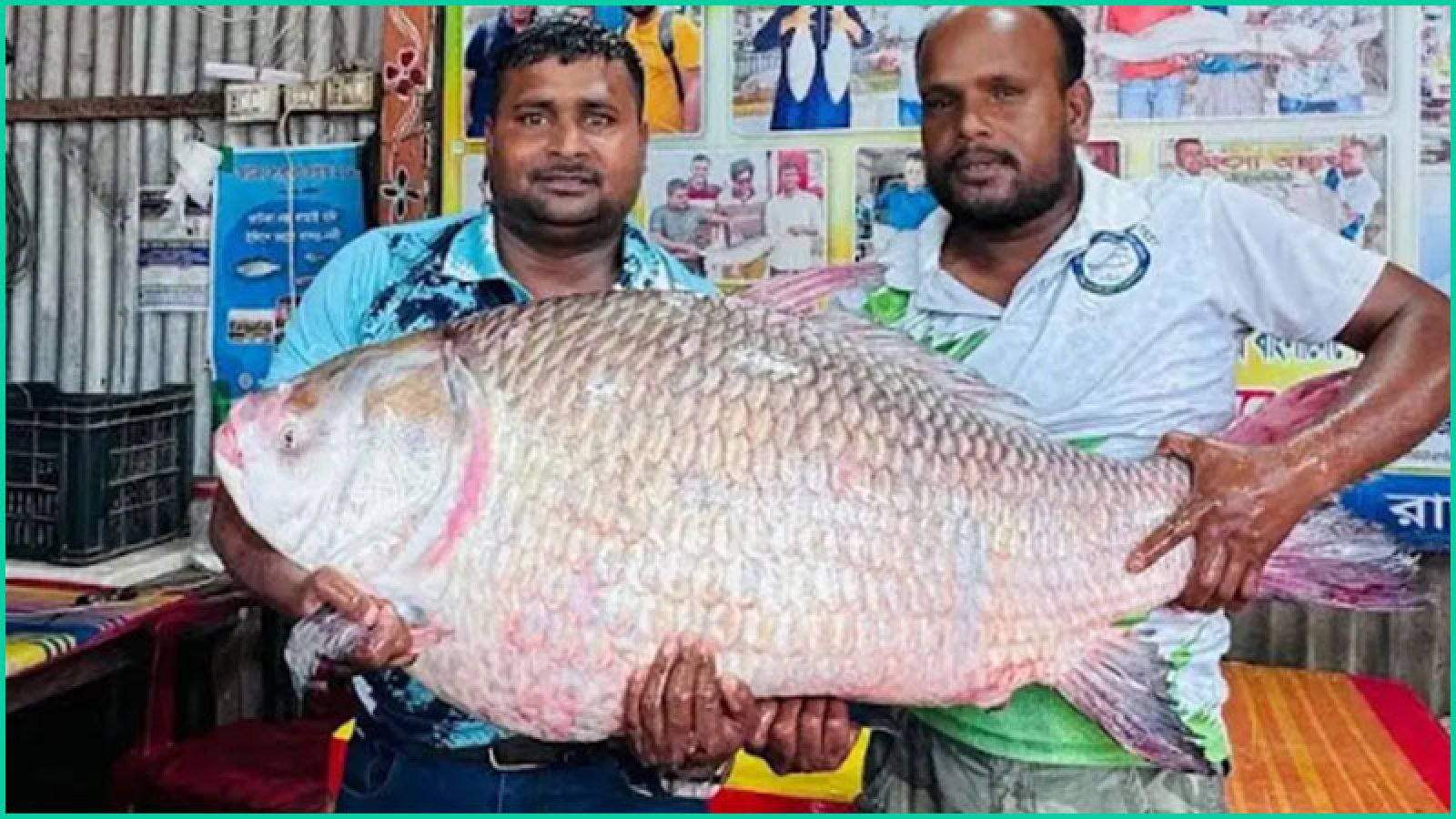 এক কাতলা বিক্রি  হলো ৬৮ হাজার টাকা