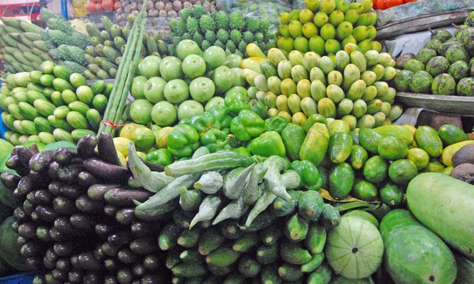 ১০০ টাকার নিচে মিলছে না সবজি