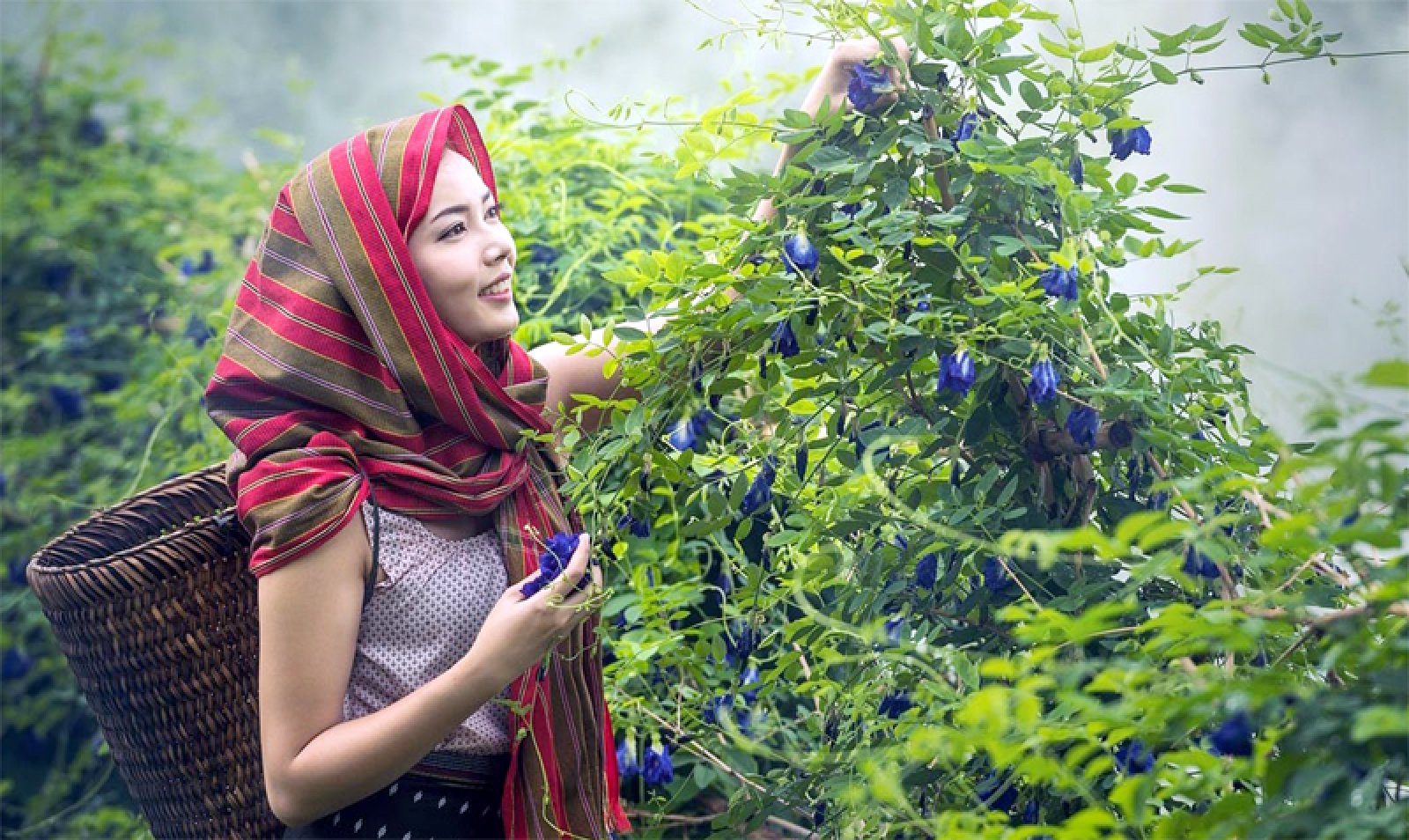 মানসিক চাপ কিভাবে  দূর  করবেন ,জেনে নিন