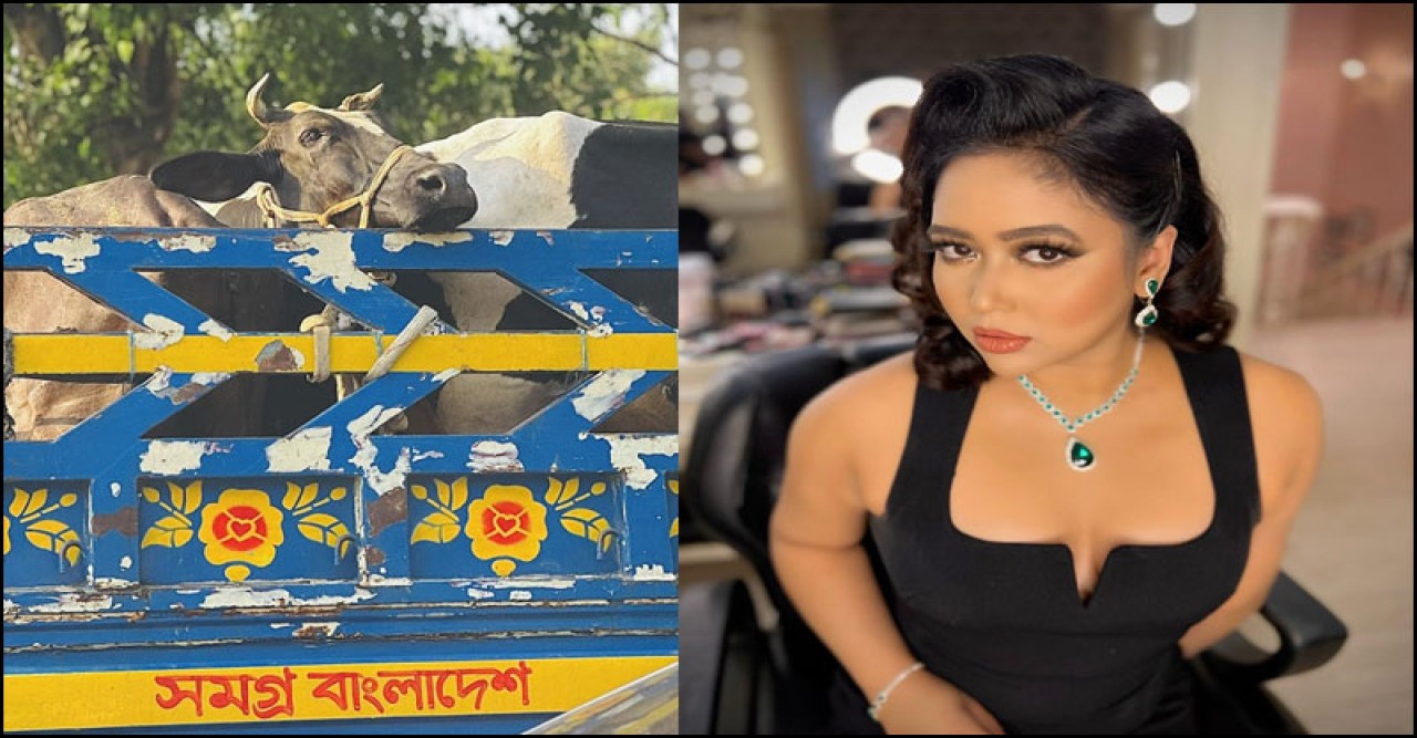 আলোচিত সেই গরুর ছবির ব্যাখ্যা দিলেন পশুপ্রেমী ভাবনা