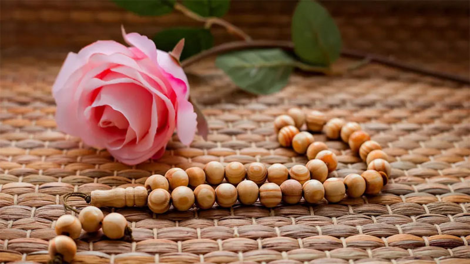 শৈশবেই ইসলাম গ্রহণ করেছিলেন যে ৮ সাহাবি