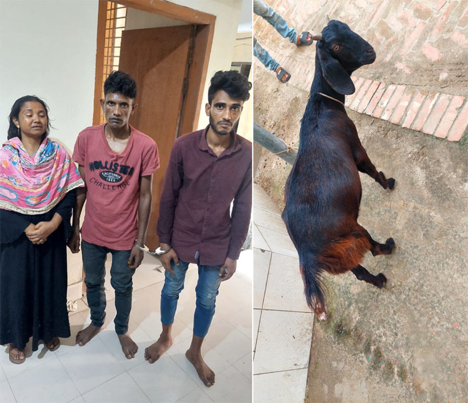 বদলগাছীতে ছাগি চুরি করে পালানোর সময় গ্রামবাসীর হাতে ধরা স্বামী-স্ত্রীসহ ৩ জন