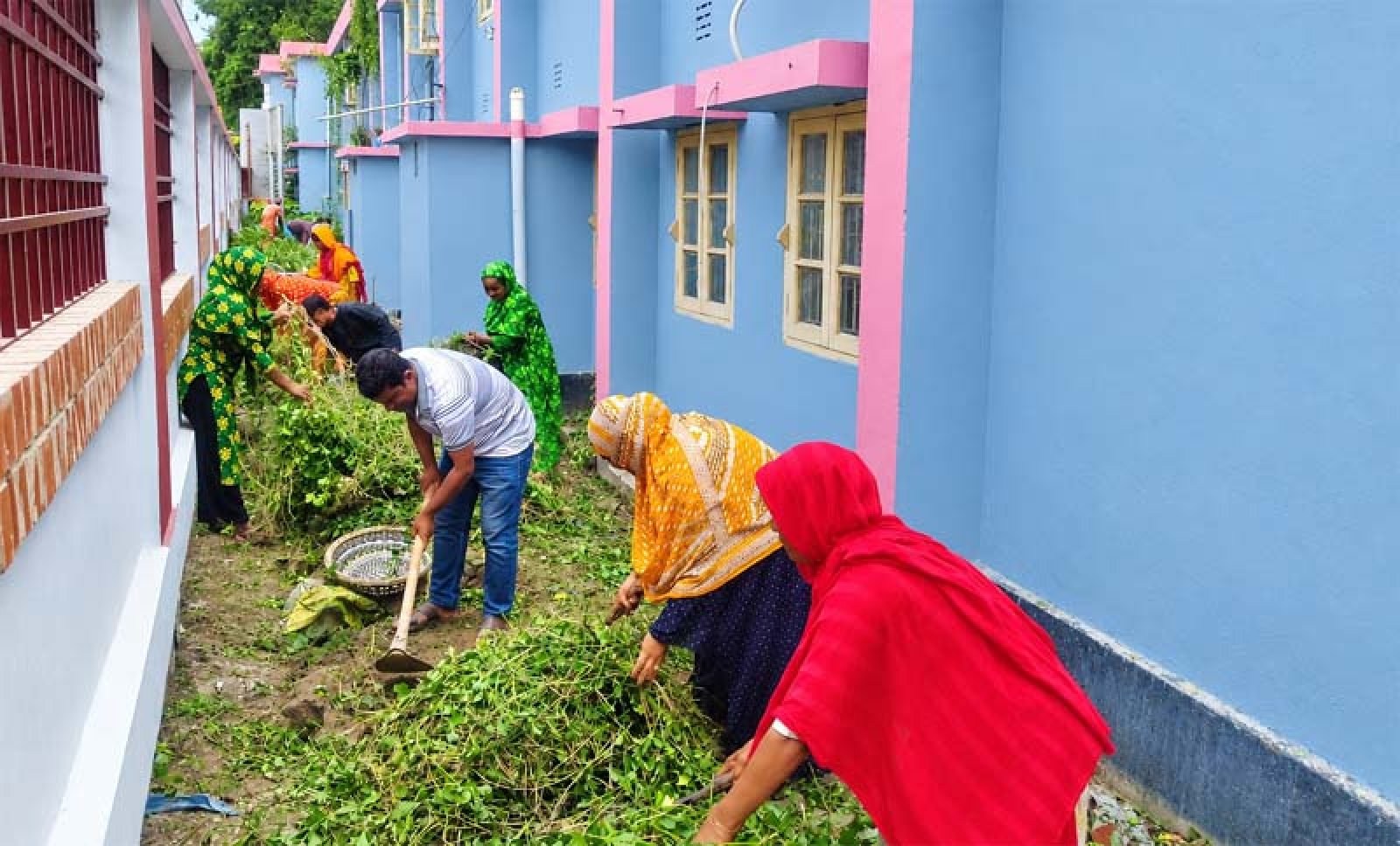 পবায় ডেঙ্গু প্রতিরোধে পরিষ্কার-পরিচ্ছন্নতা অভিযান পরিচালিত