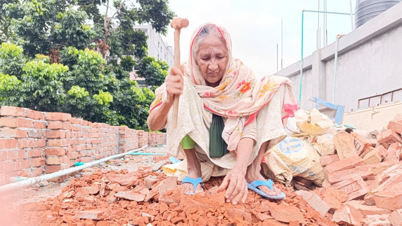 আমি না খাইয়া থাকলেও কারো কাছে হাত পাতি না