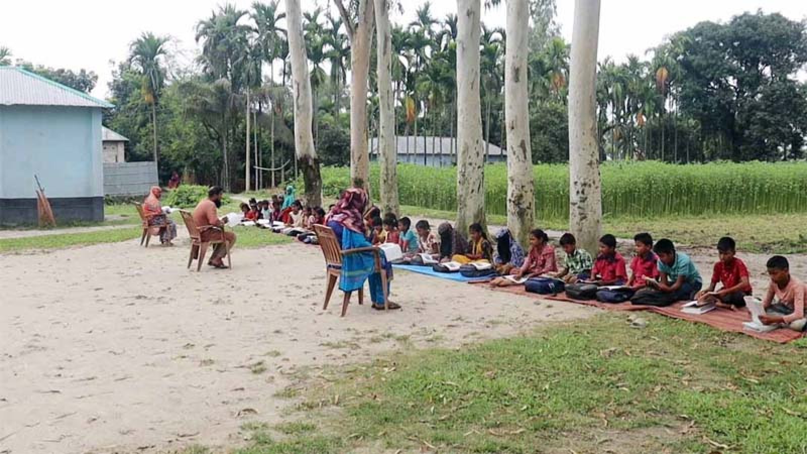 খোলা আকাশের নিচে পাঠদান, ঝুঁকিতে পঞ্চগড়ের শিক্ষার্থীরা