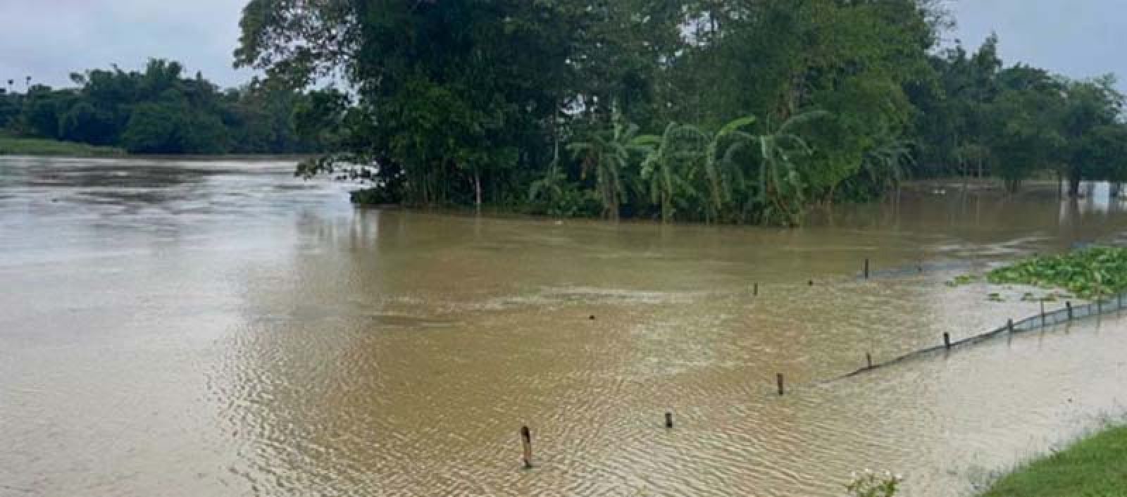 বন্যা পরিস্থিতি মোকাবিলায় স্বাস্থ্য অধিদপ্তরের ৭ জরুরি নির্দেশনা