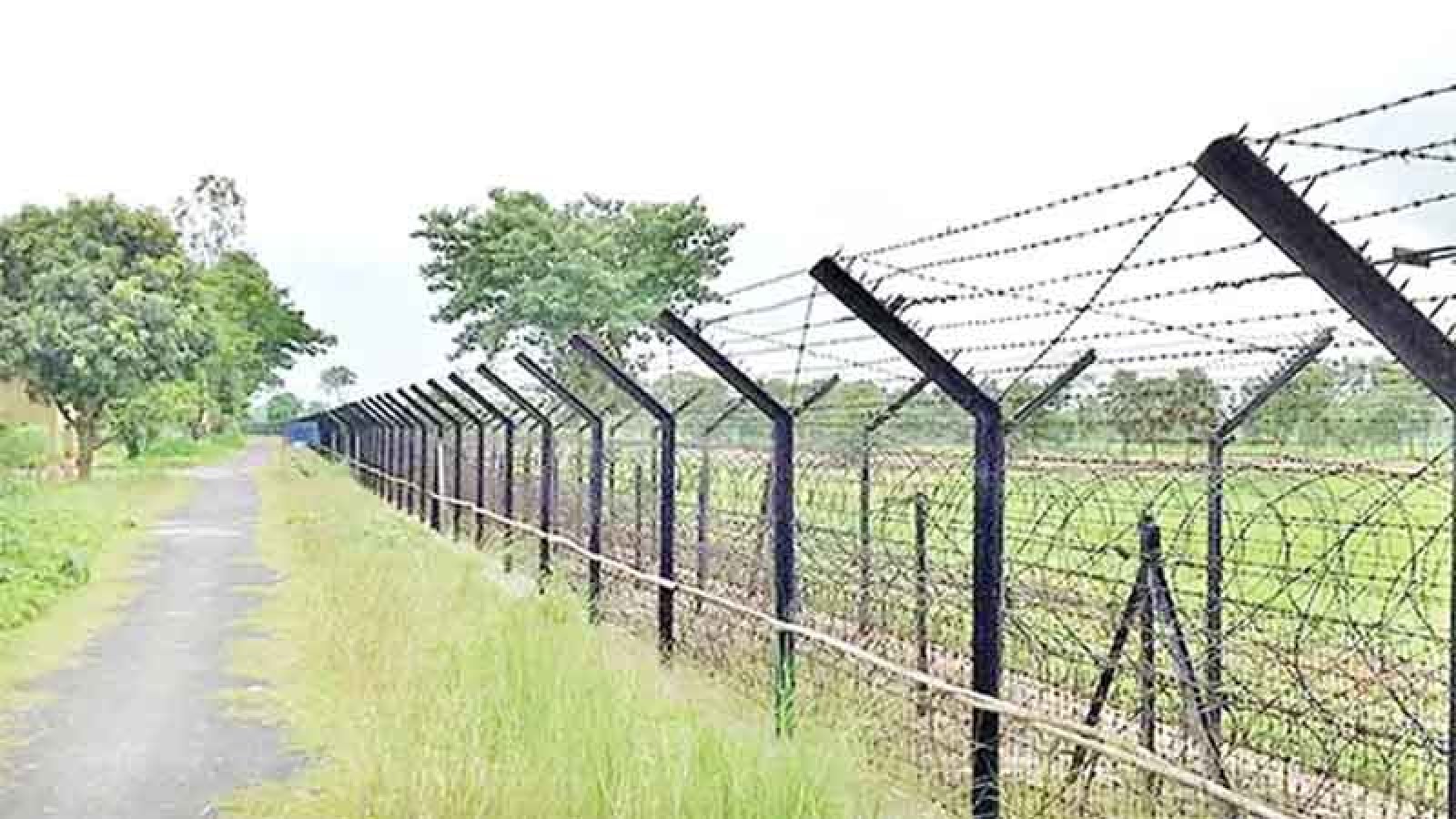 সীমান্তে অনুপ্রবেশের চেষ্টা, ২ রাউন্ড গুলি ছুড়ল বিজিবি