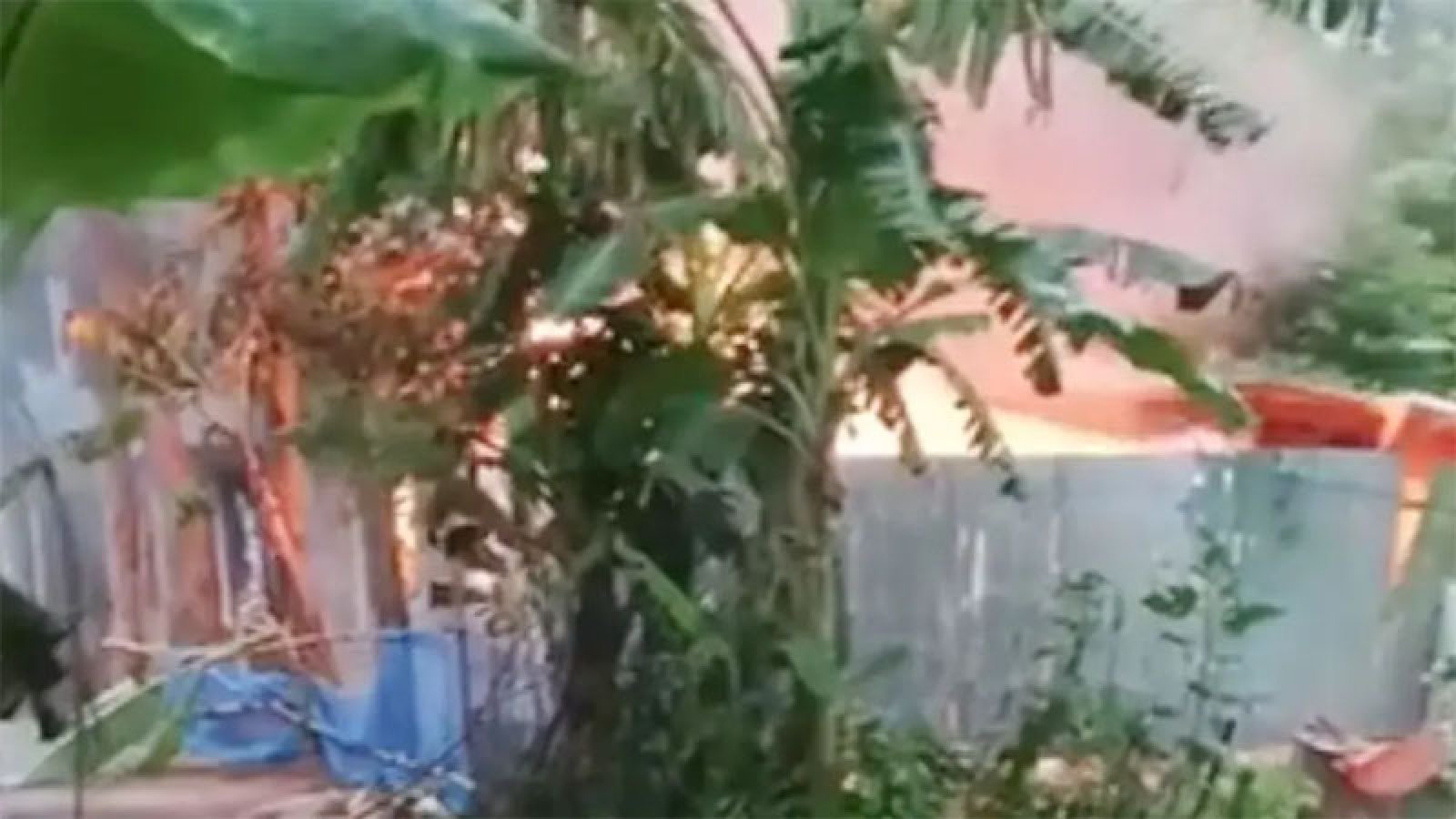 কিশোরীকে ধষর্ণ-হত্যার জেরে আসামিদের বাড়িতে আগুন