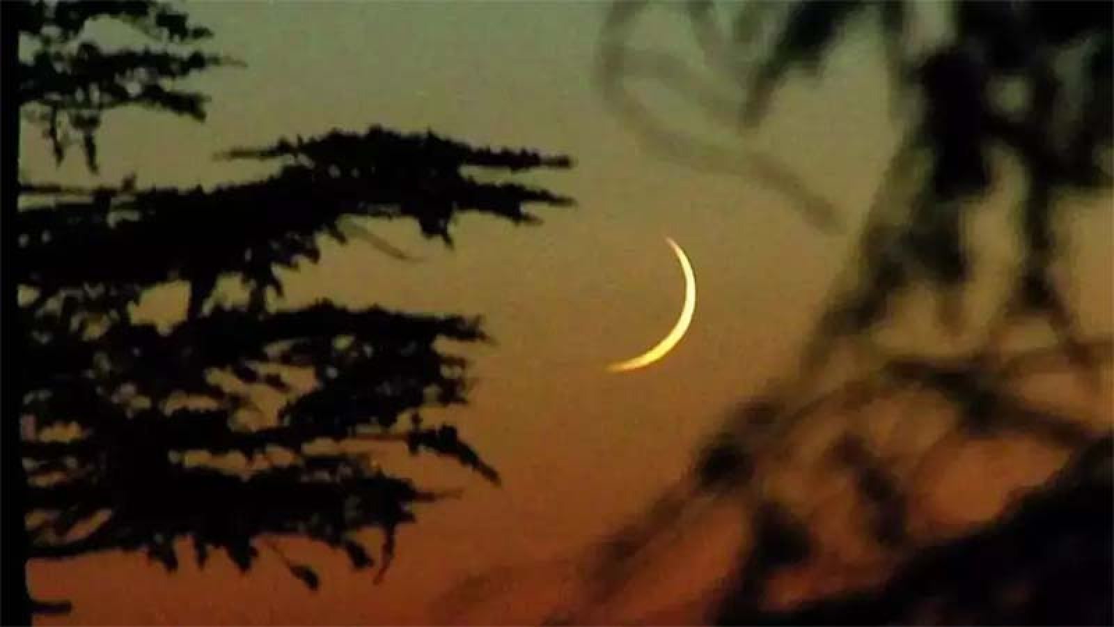 আগামী ২৬ জুন পবিত্র আশুরা