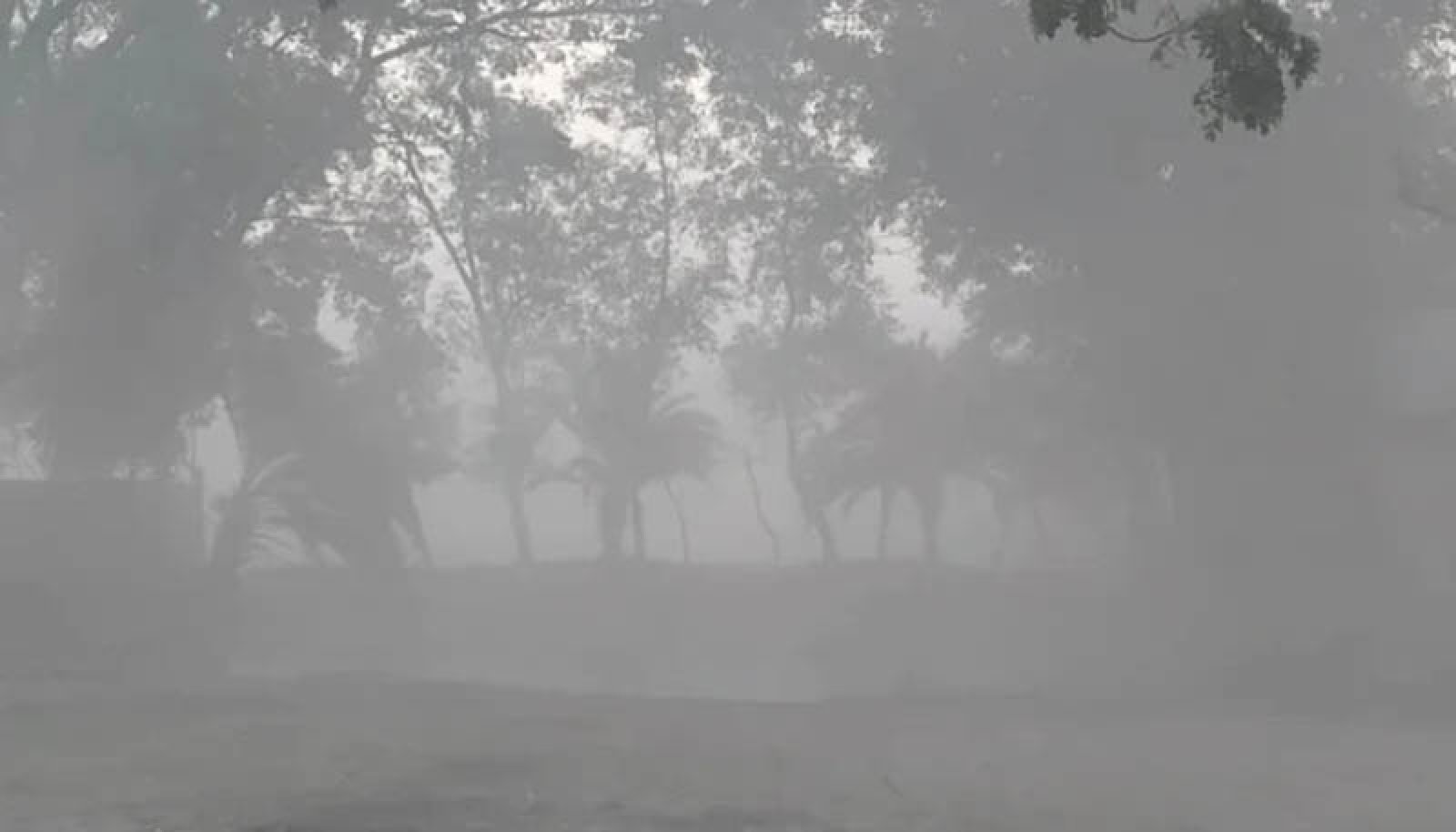 গুঁড়ি গুঁড়ি বৃষ্টির মতো ঝরছে কুয়াশা
