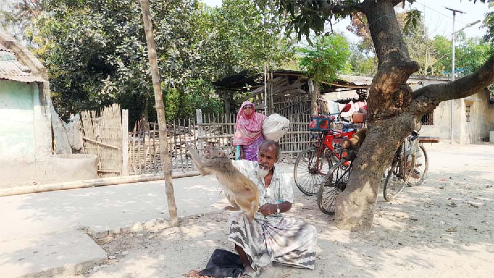 ৪২ বছর ধরে বানর খেলা দেখান আজিজুর