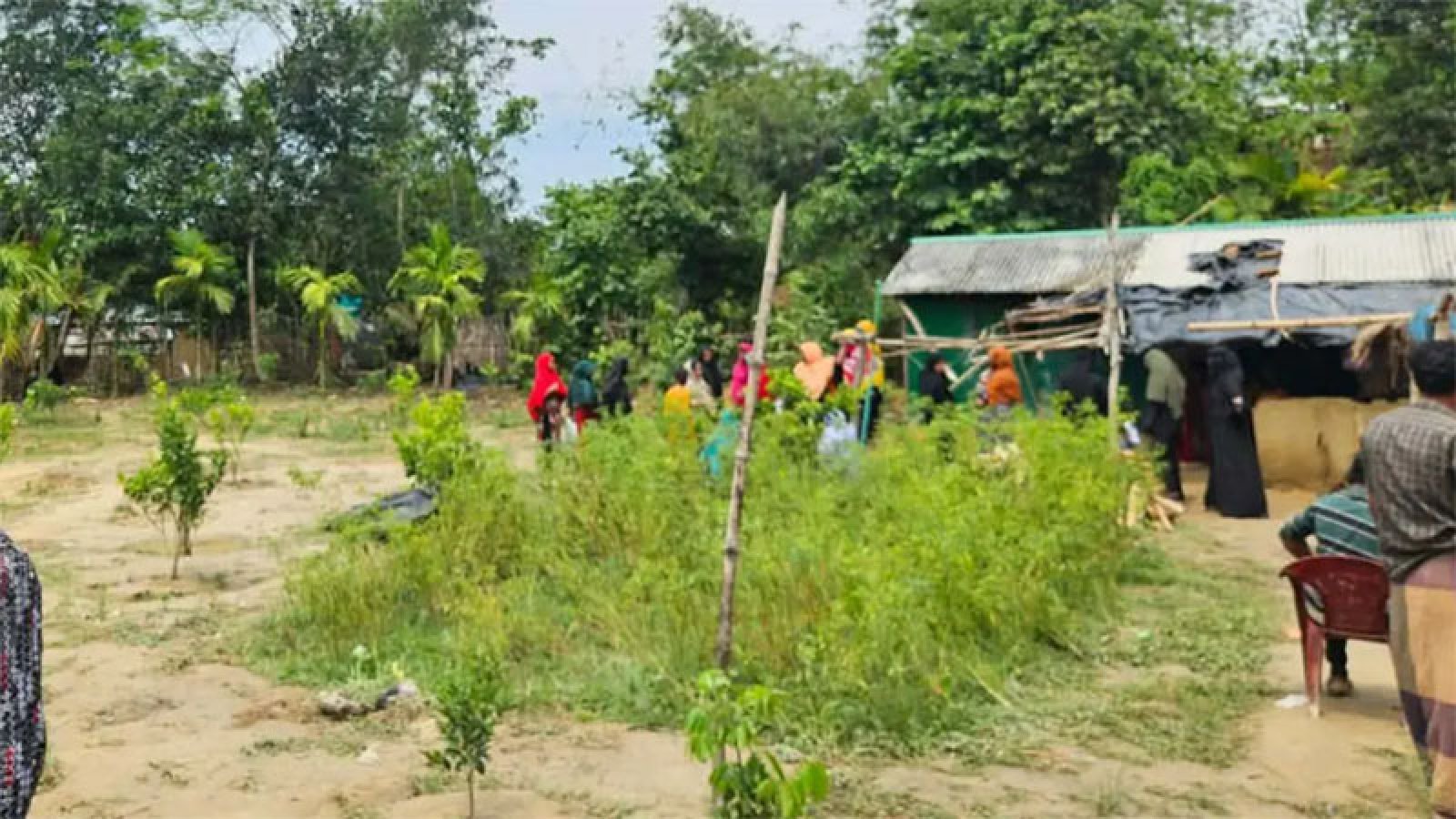 রামুতে বন্য হাতির তাণ্ডবে প্রাণ গেল ঘুমন্ত মা–মেয়ের