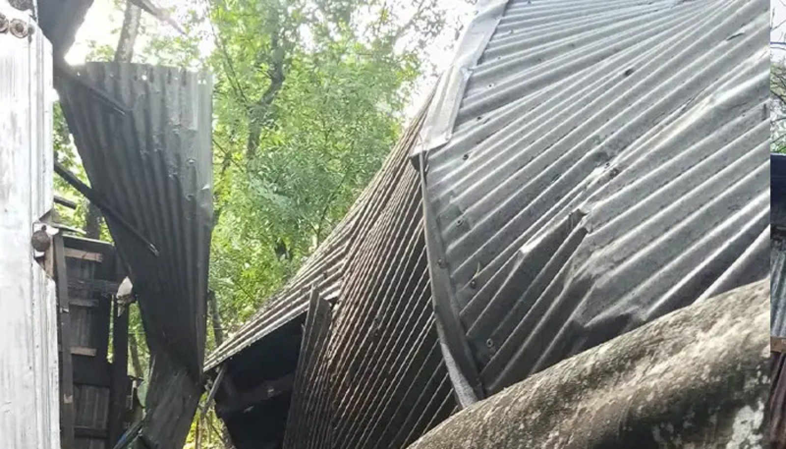 ঝড়ে ঘরের ওপর গাছ পড়ে মায়ের মৃত্যু, ছেলে হাসপাতালে