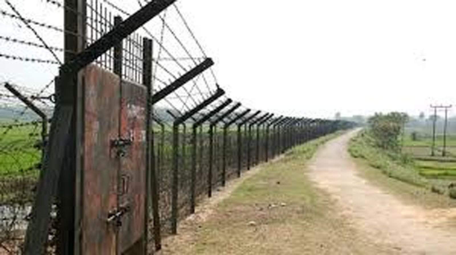 সীমান্তে বিএসএফের গুলিতে ২ বাংলাদেশি নিহত