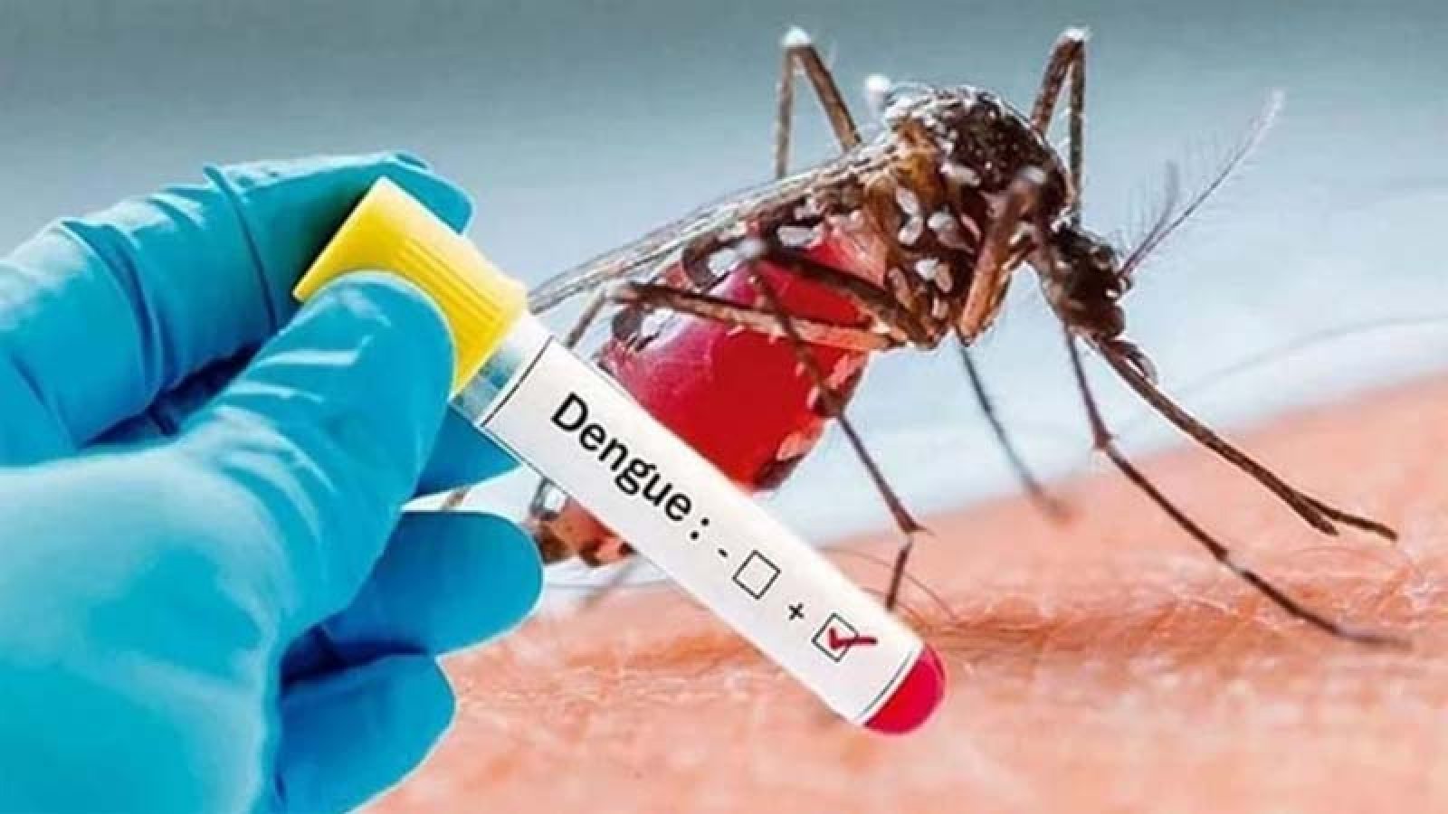ডেঙ্গু আক্রান্ত হয়ে হাসপাতালে ভর্তি  ৮৩৯ জন ,মৃত্যু ৫ জন