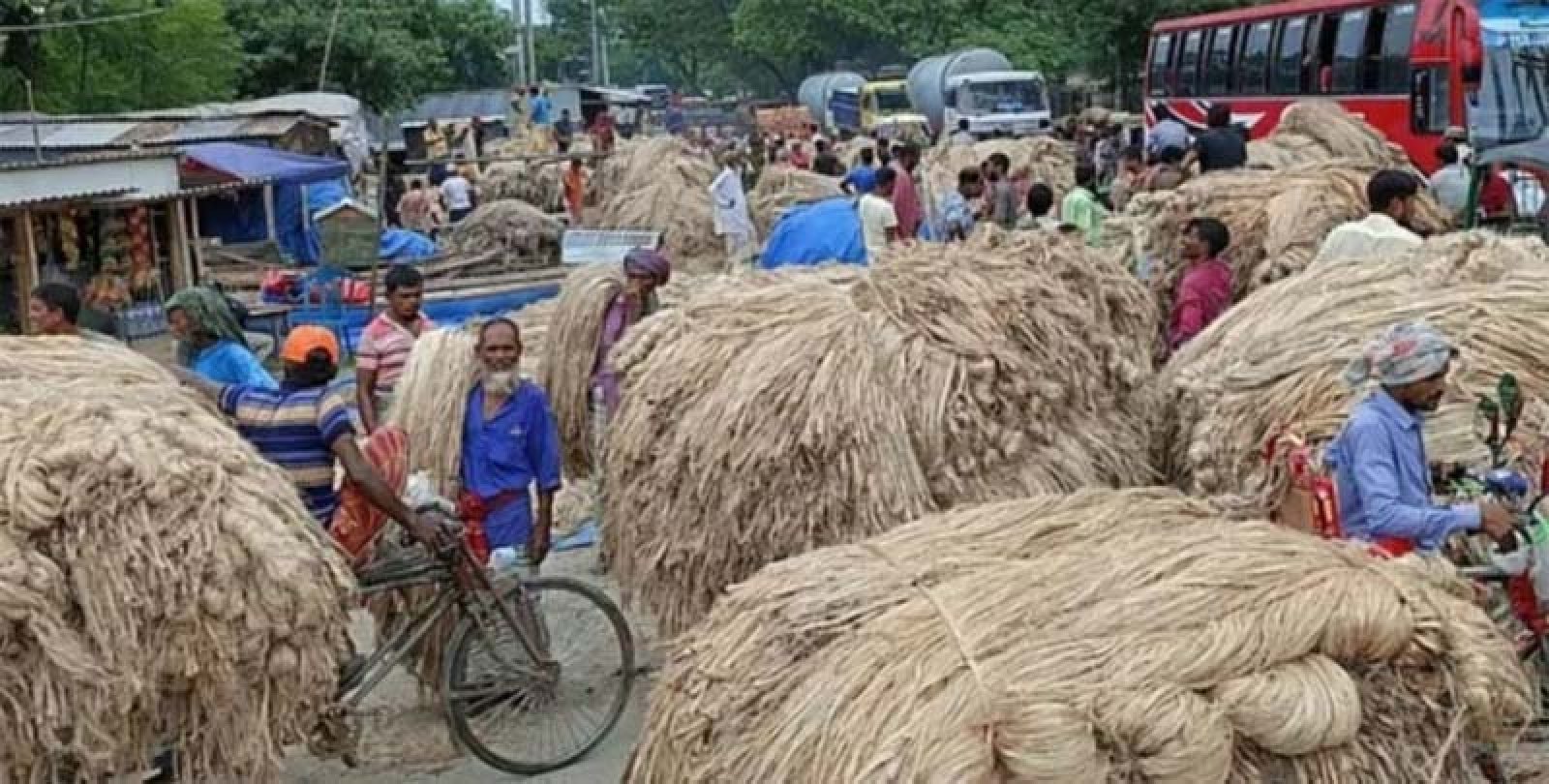 রাজশাহীতে পাটে ৫৪৯ কোটি টাকার বাণিজ্যের হাতছানি