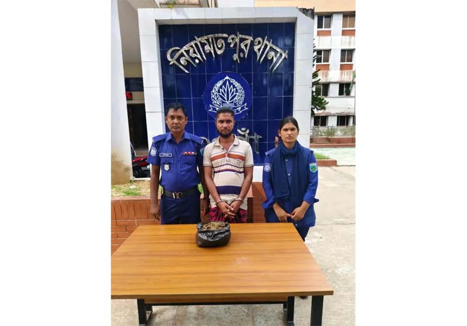 নিয়ামতপুরে ৫০০ গ্রাম গাঁজাসহ মাদক কারবারি গ্রেপ্তার