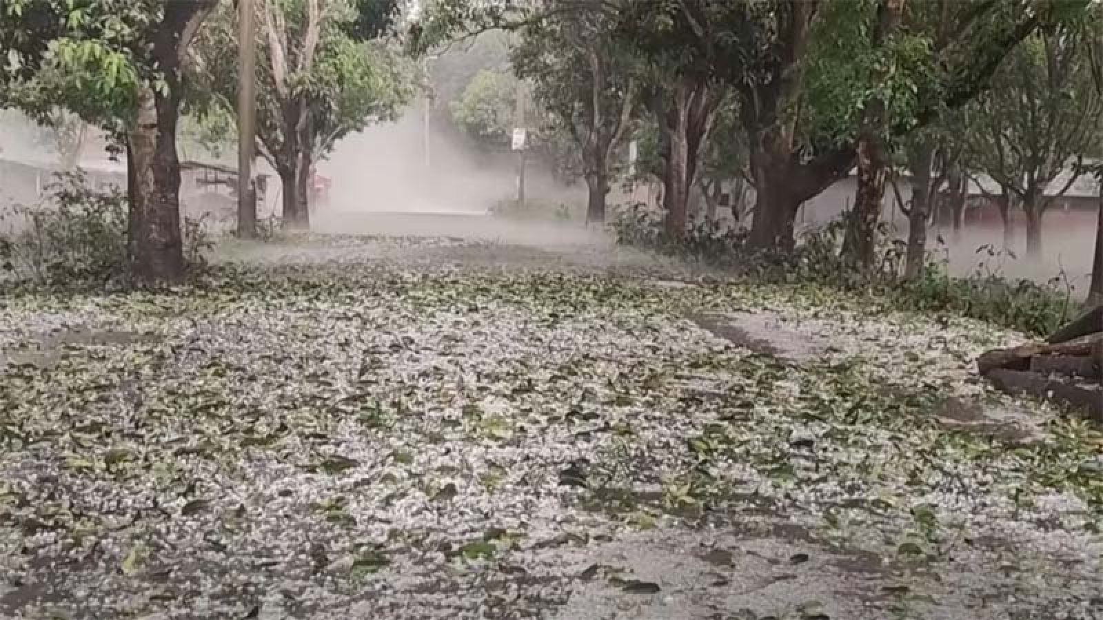চাঁপাইনবাবগঞ্জে শিলাবৃষ্টি, আম ও ধানের ব্যাপক ক্ষতি