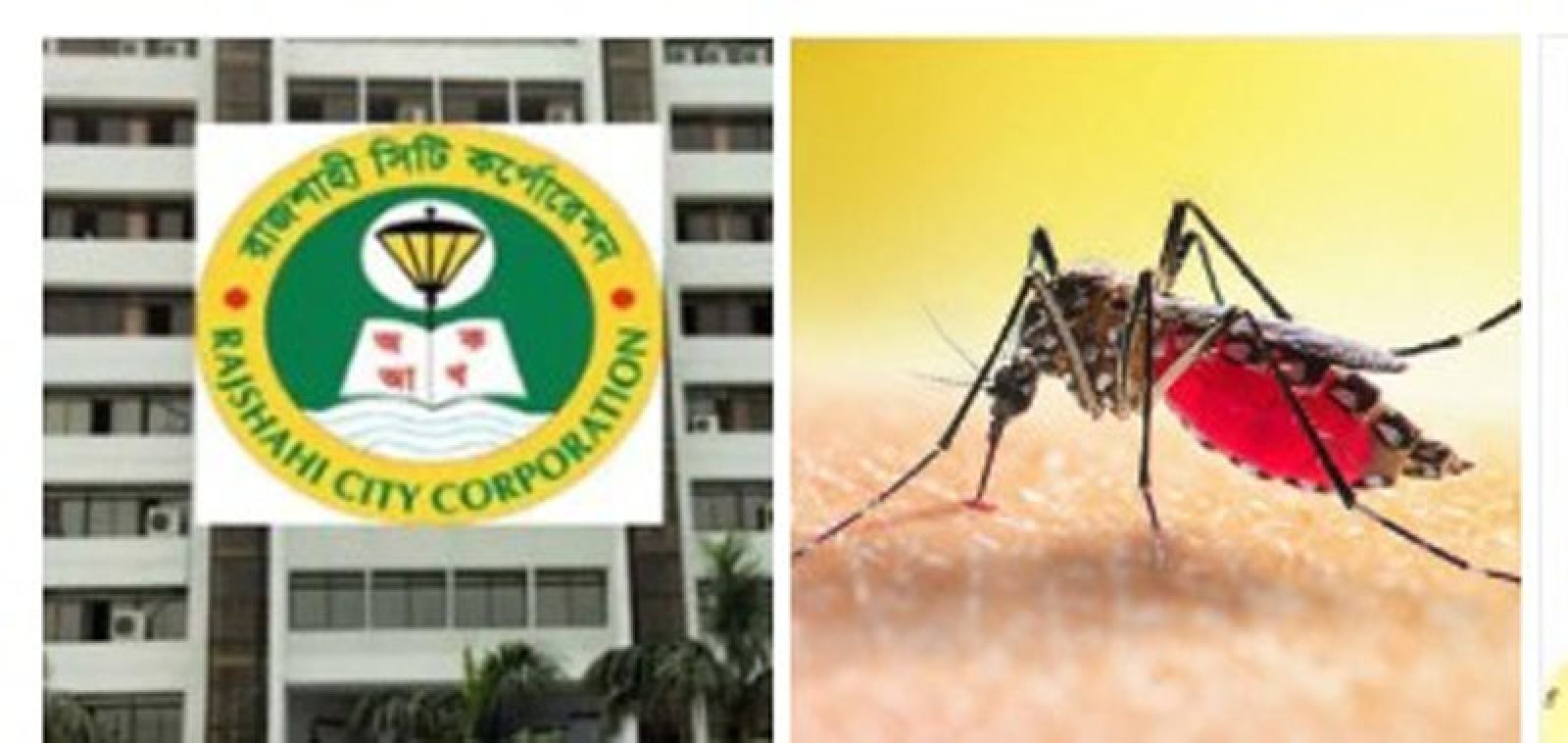 নিয়ন্ত্রনহীন মশার কাছে রাসিকের আত্নসমর্পণ