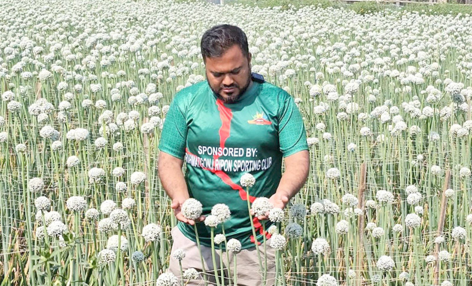 পেঁয়াজের বীজ চাষ করে  কৃষক হুমায়নের বাজিমাত
