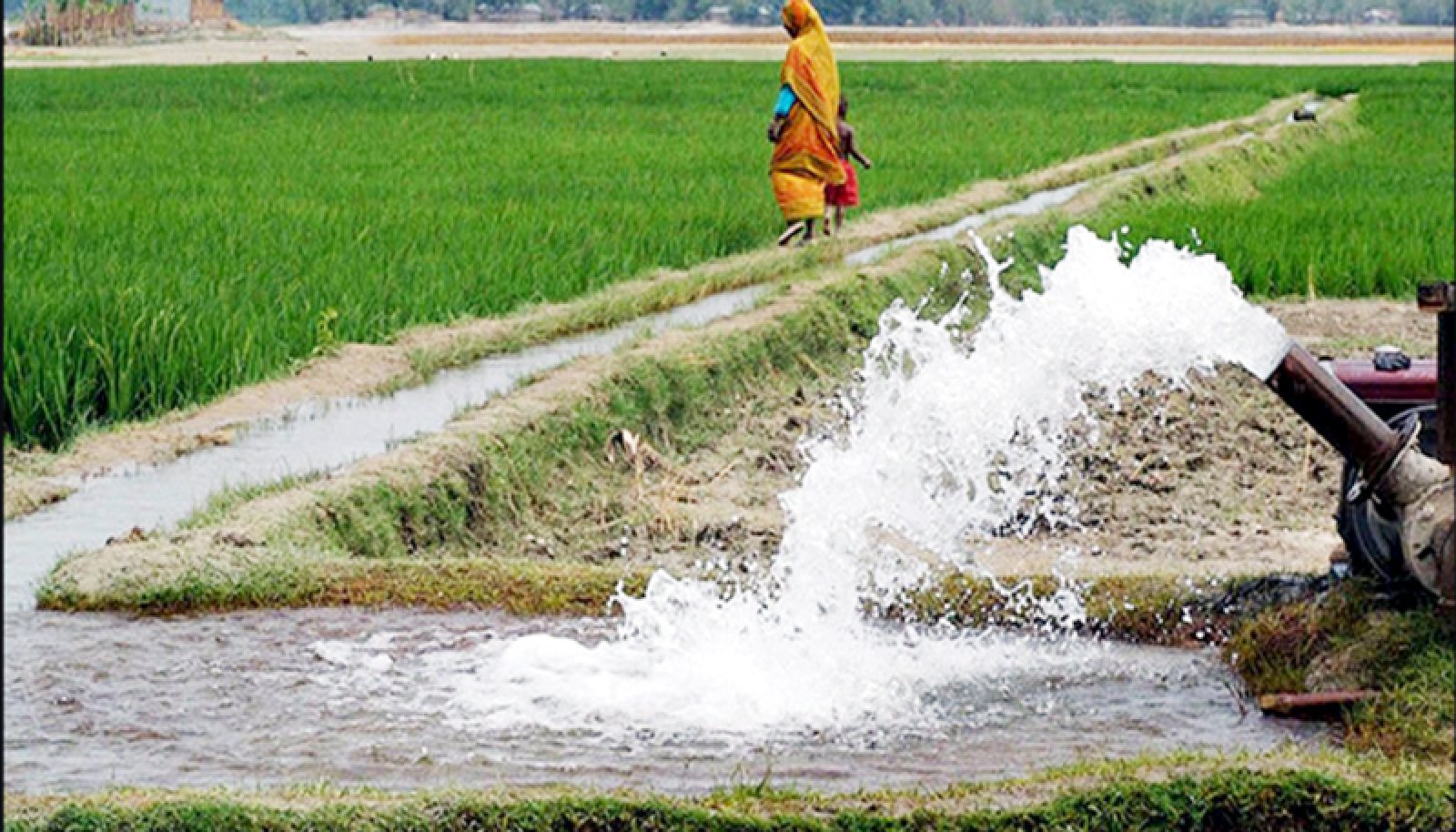 চাষিদের জন্য সুখবর দিলেন