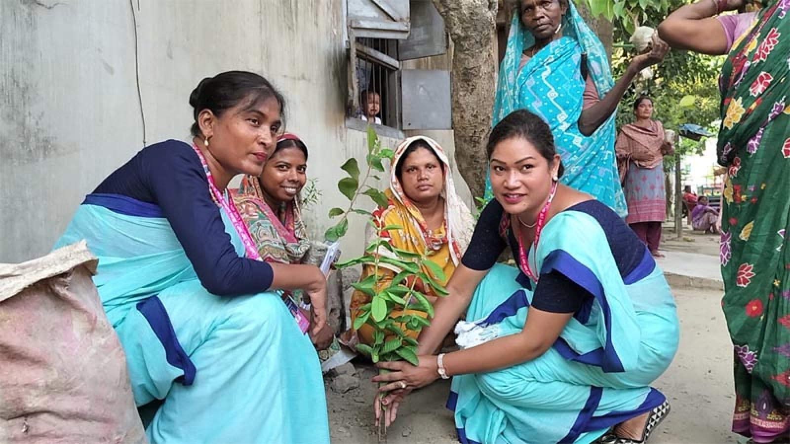 রাজশাহীতে নারী ও শিশু কল্যাণ সংস্থার উদ্যোগে আজ বিনামূল্যে ফলদ বৃক্ষ বিতরণ