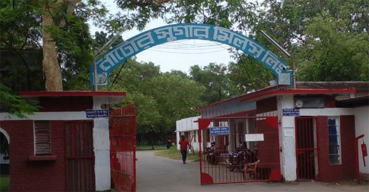 নাটোর চিনিকলে লক্ষ্যমাত্রা চেয়ে কম চিনি উৎপাদন