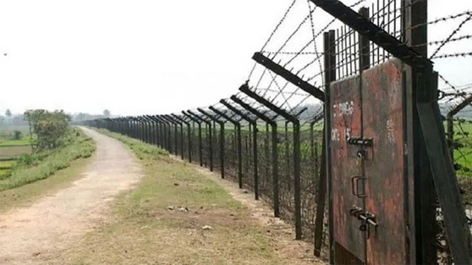 বিএসএফের গুলির জবাবে বিজিবির পাল্টা ফায়ার সোনারহাট সীমান্তে