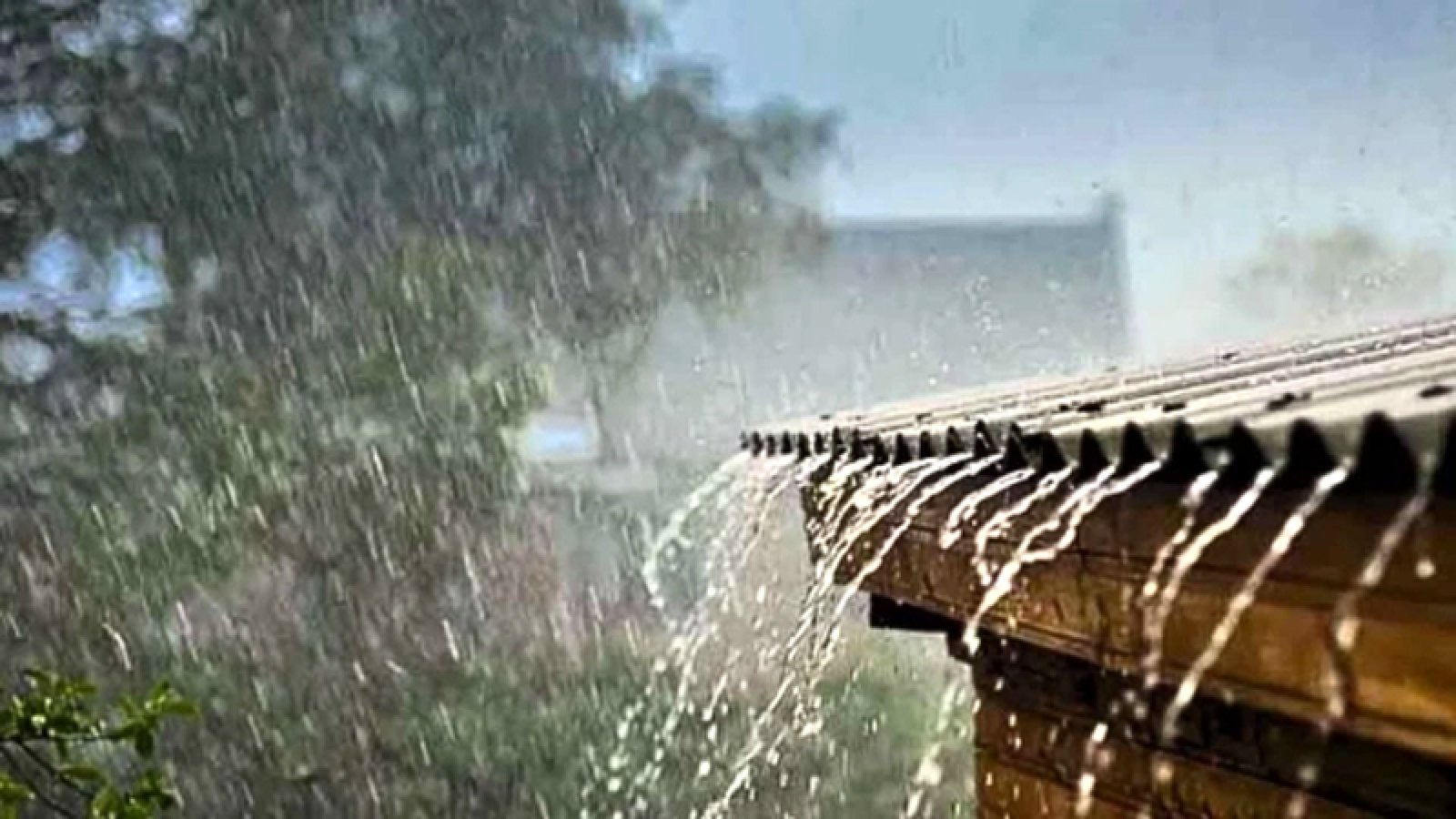 টানা তিন দিন বজ্রসহ বৃষ্টি হতে পারে