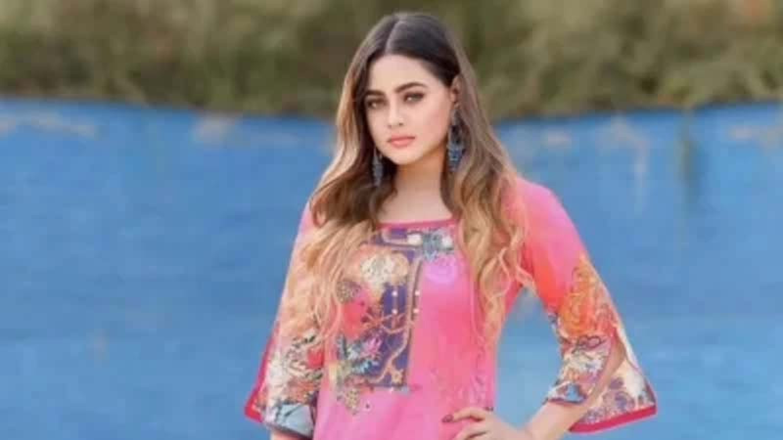 মডেল ও উপস্থাপিকা তুলনা আল হারুন আর নেই