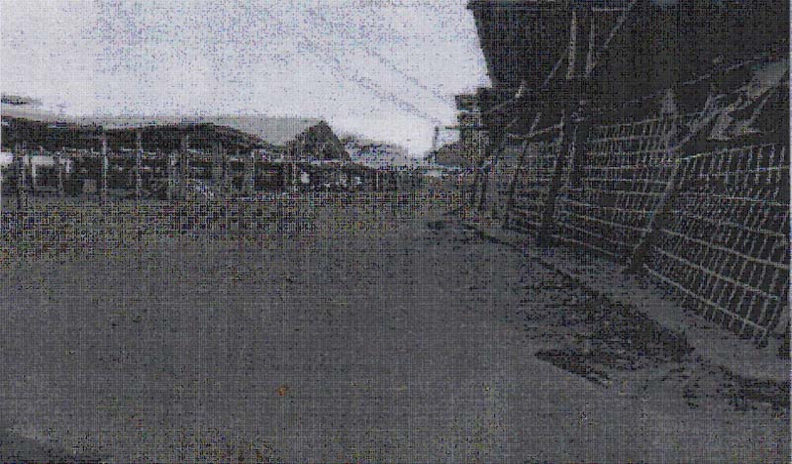 সৈয়দপুর নিষিদ্ধপল্লীতে সালেহার অ্যাকশন  ৪ এপ্রিল রাজশাহী উপশহরে  অবাঙালিদের নারকীয়তা