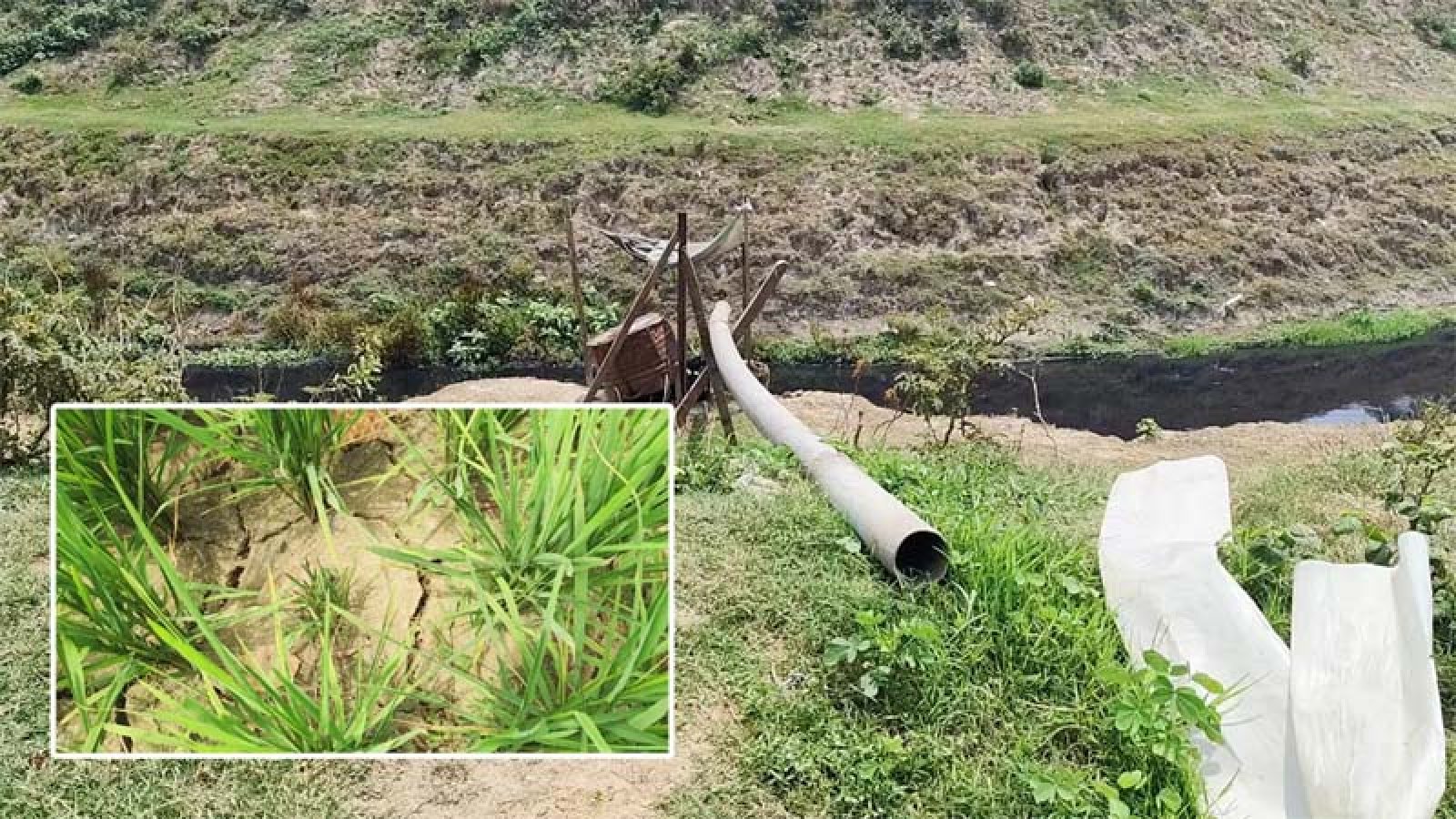 পানির অভাবে জমি ফেটে চৌচির, জ্বালানি সংকটে সেচ ব্যাহত