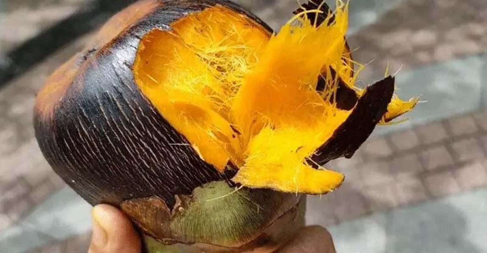 তাল মিষ্টি নাকি তিতা কি ভাবে  বুঝবেন , জেনে নিন