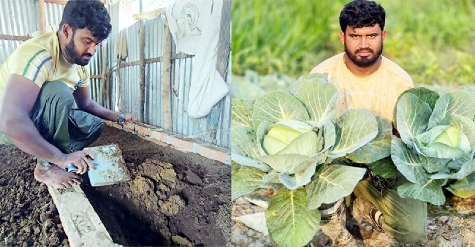 চাকরি ছেড়ে হলেন কৃষি উদ্যোক্তা মো. সেলিম
