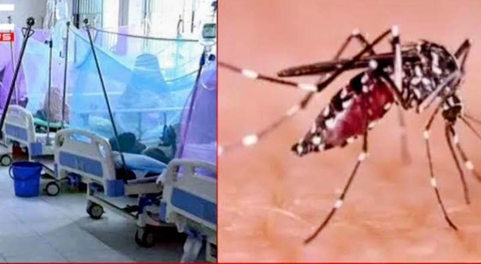 রামেকে ডেঙ্গুর দাপটঃ ২৪ ঘণ্টায় ভর্তি ২৫, এক মাসে মৃত্যু ১৩