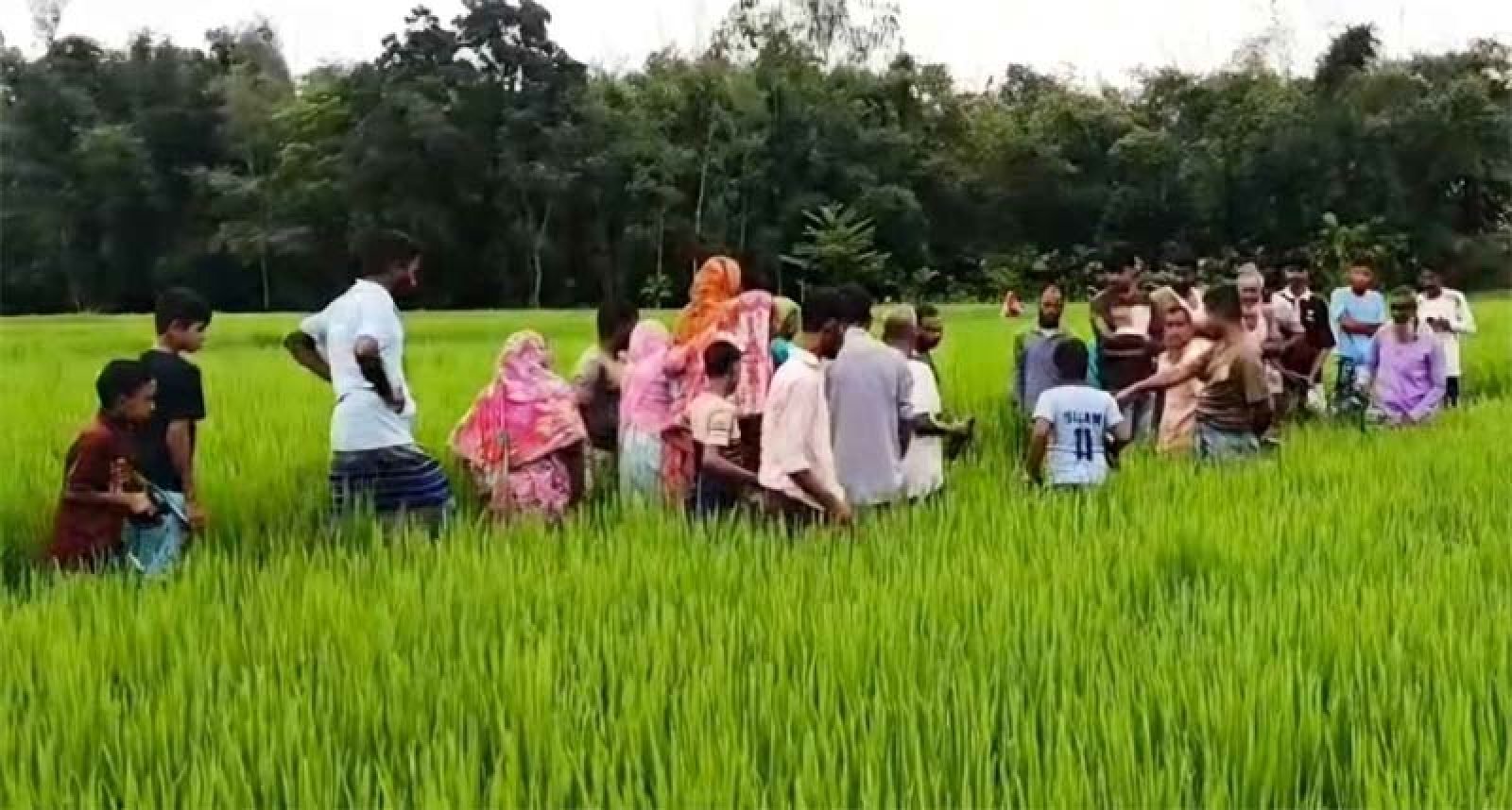দেবীগঞ্জে ধানক্ষেত থেকে এক নারীর মরদেহ উদ্ধার করেছে পুলিশ
