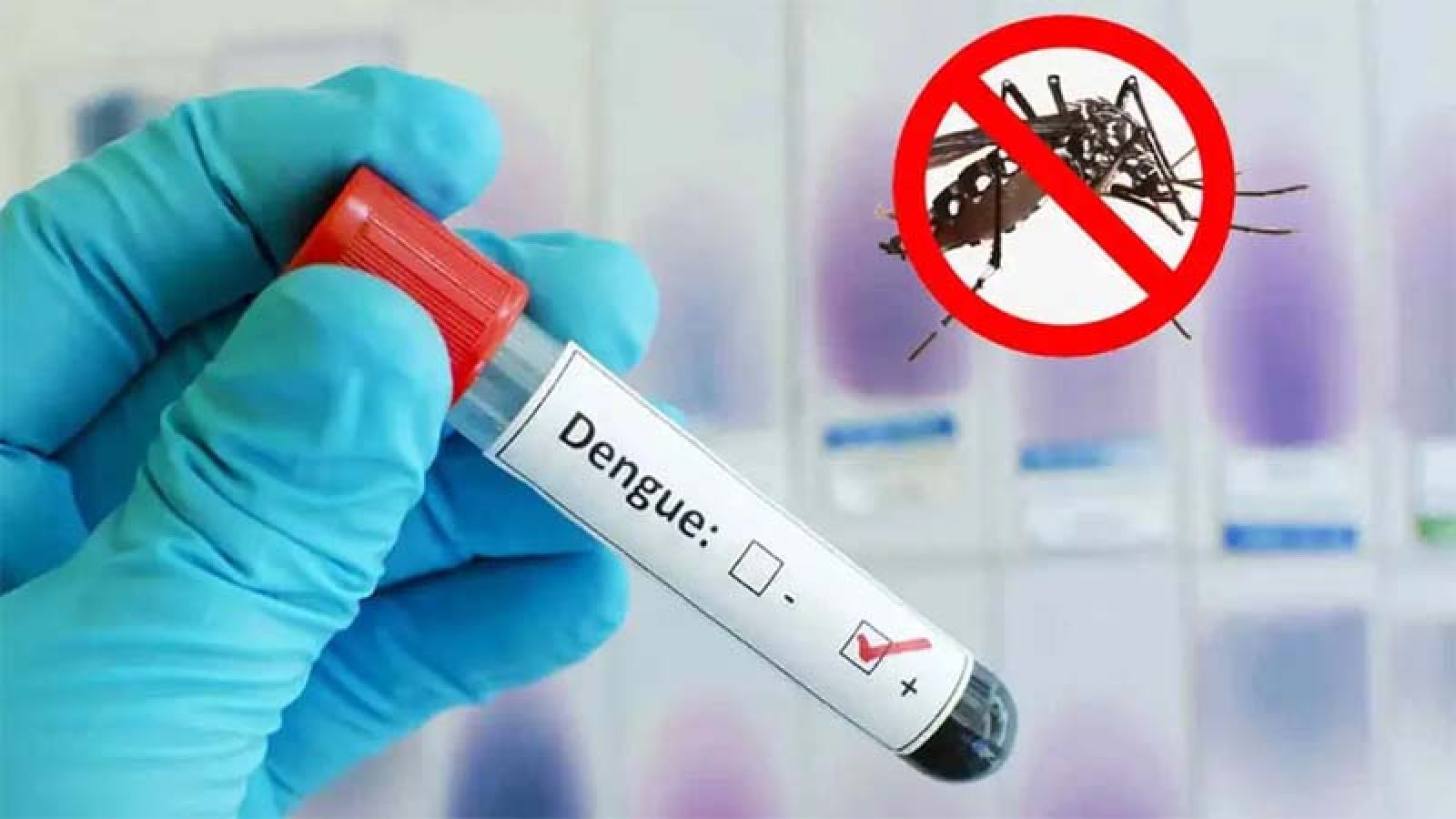 ডেঙ্গুতে আক্রান্ত হয়ে আরও দুই জনের মৃত্যু