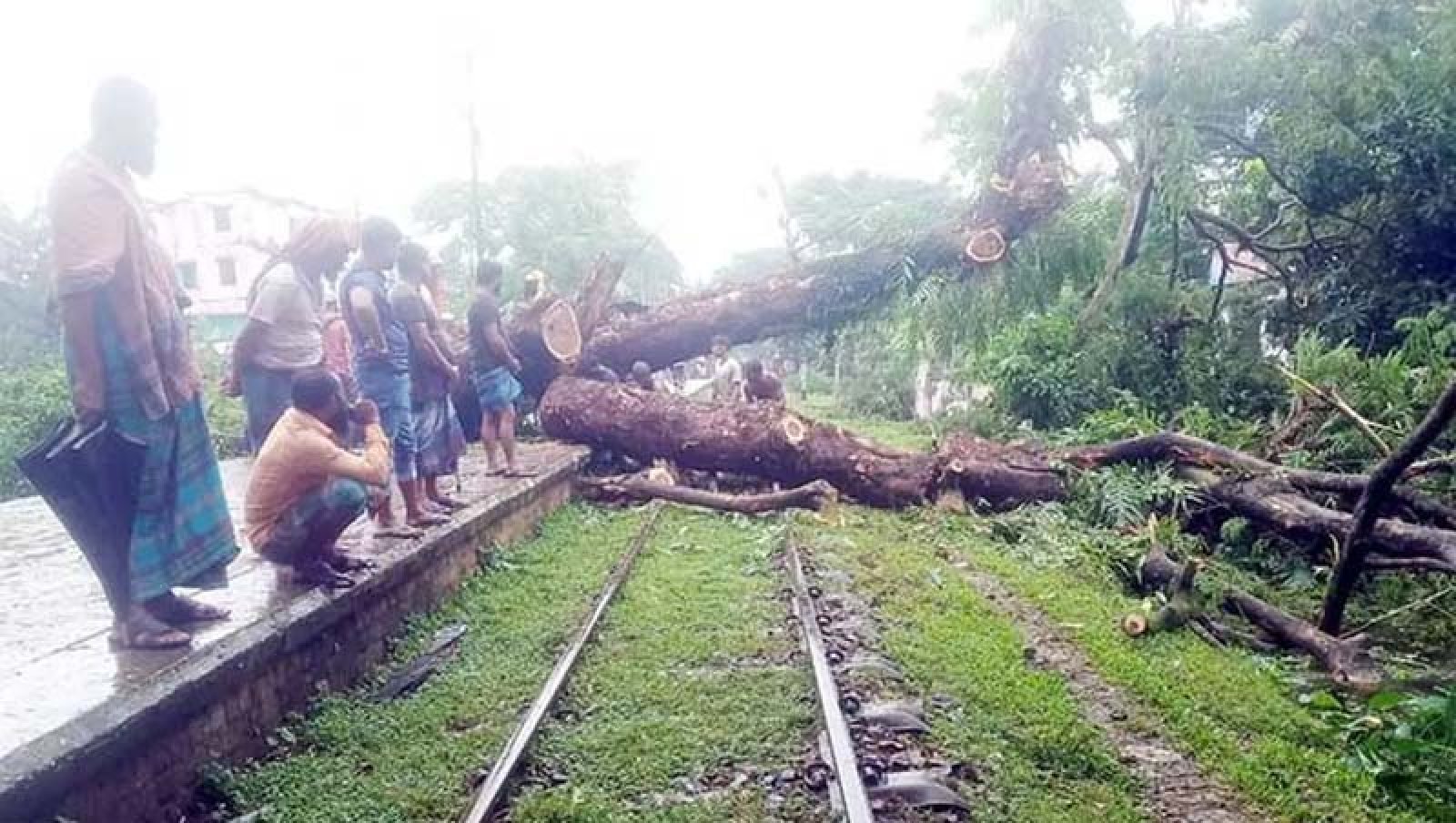 কালবৈশাখী ঝড়ে রেললাইনে গাছ পড়ে ২ ঘণ্টা ট্রেন চলাচলে বিঘ্ন