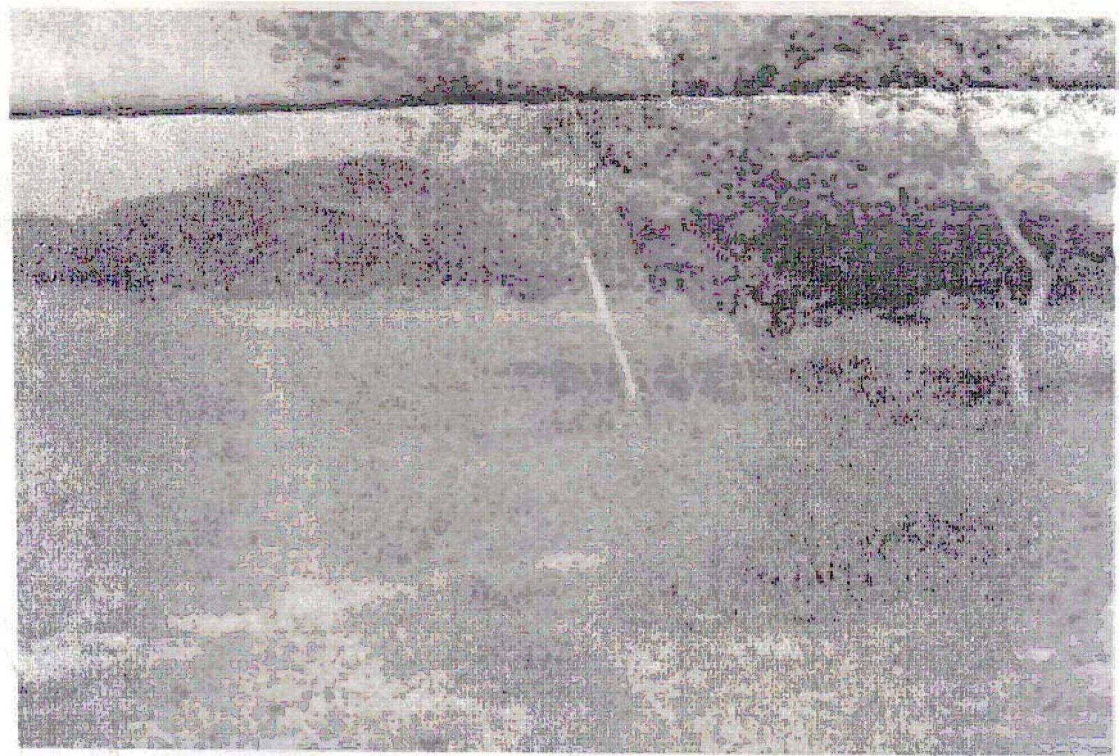 লাশ, রক্ত, স্বজনের শোকের মাতম শুকুন কুকুরের উৎসব