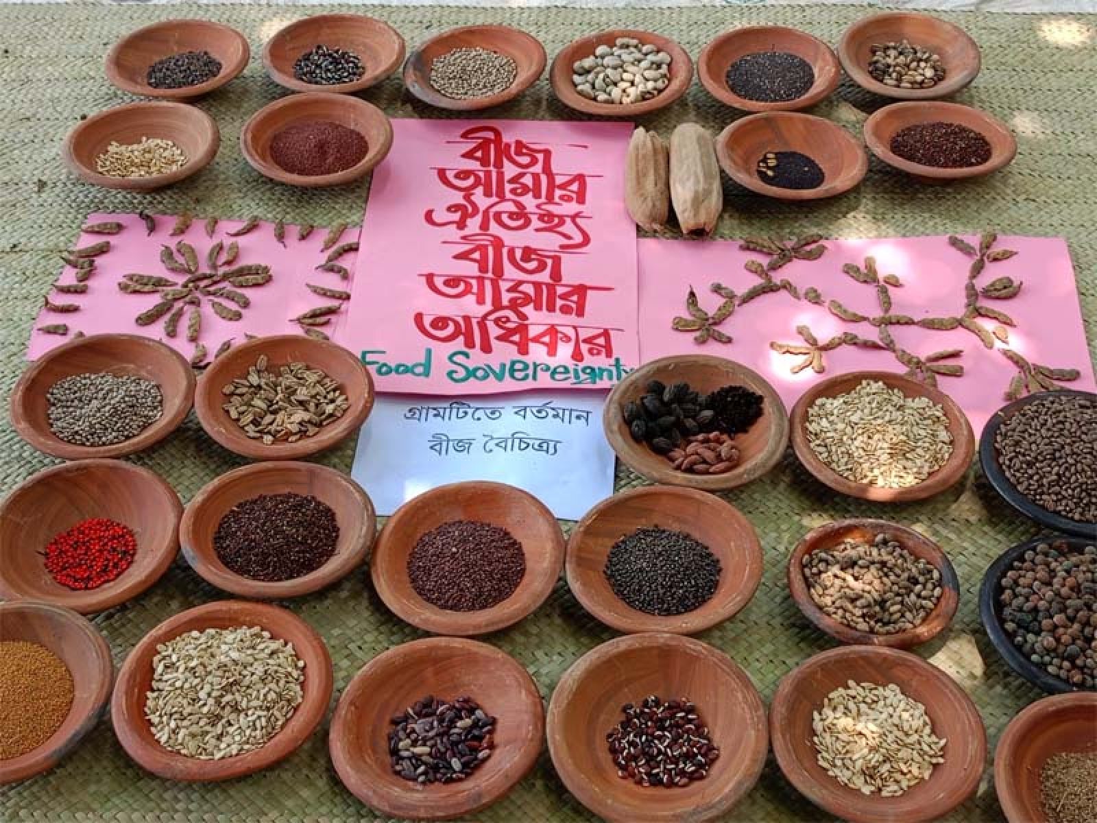 দেশি বীজবৈচিত্র্য রক্ষায় জাতীয় বীজনীতি সংস্কারের দাবি
