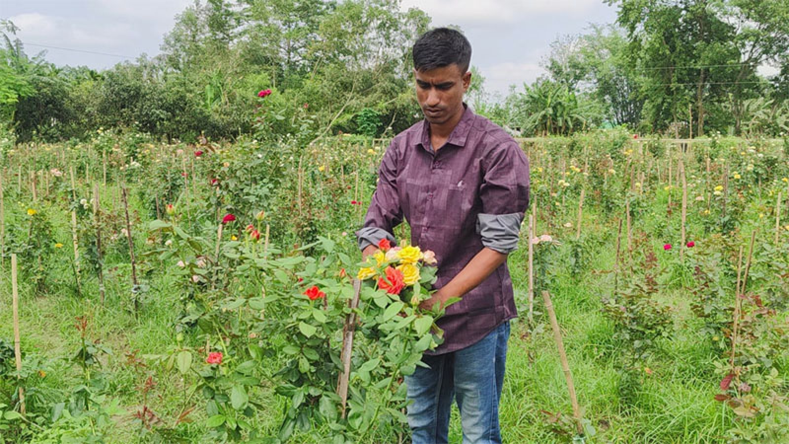 সবজি চাষের টাকায় কলেজছাত্রের স্বপ্নপূরণ