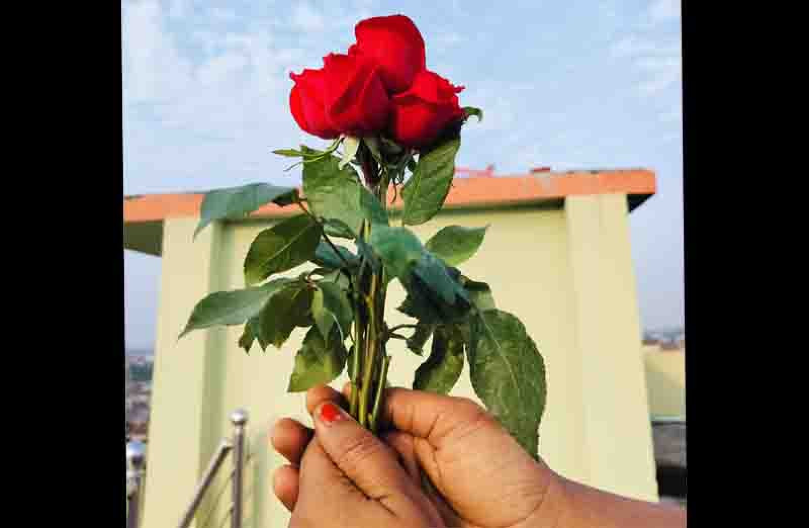 আজ প্রিয়জনকে গোলাপ দেওয়ার দিন