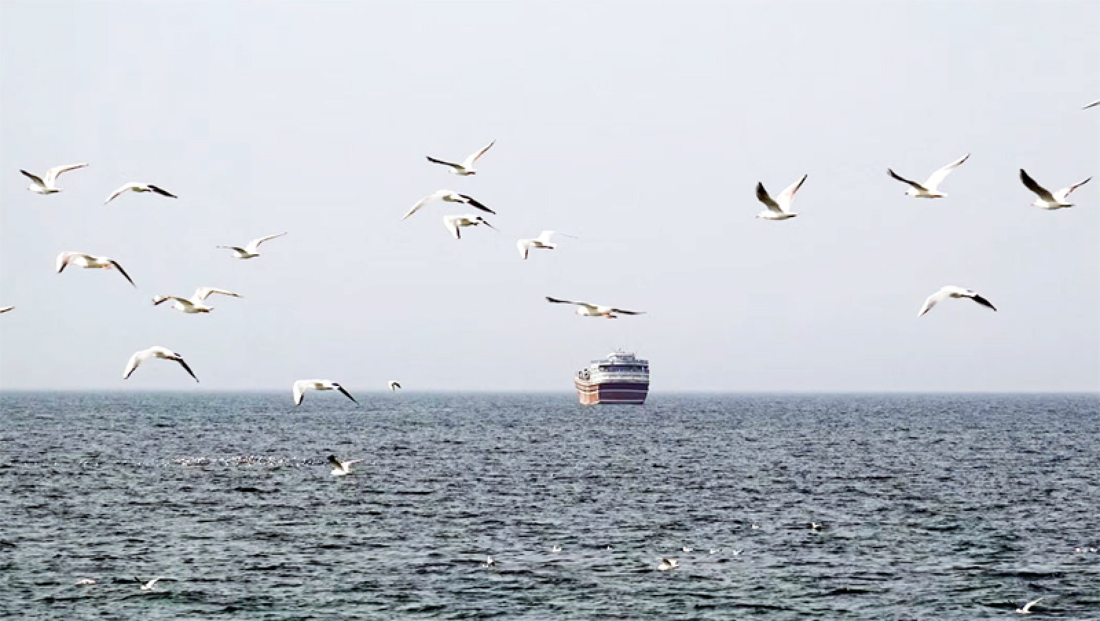 হরমুজ প্রণালী খোলা, তবে সবার জন্য নয়