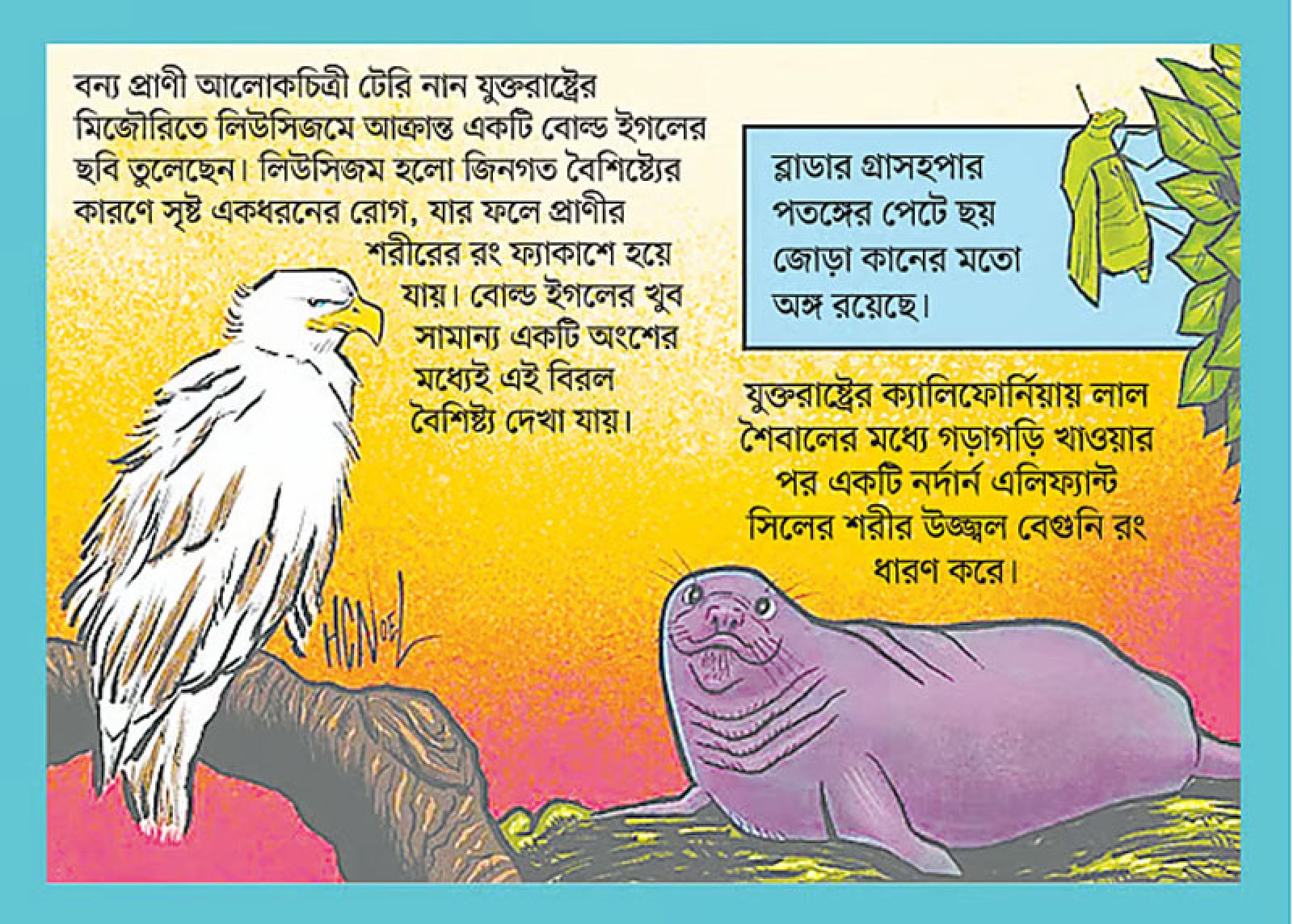 রিপলি’স বিলিভ ইট অর নট